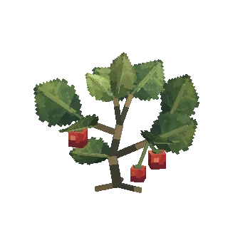 Berry bush turning around