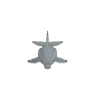Bottlenose dolphin preview