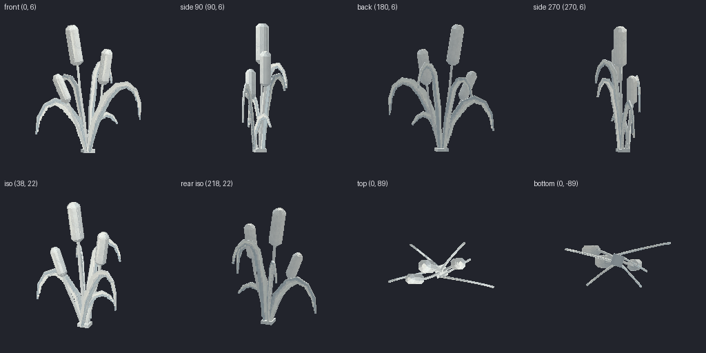 Cattails from eight angles