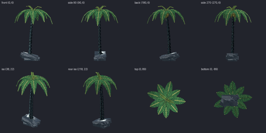 Coconut palm from eight angles