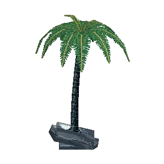 Coconut palm preview