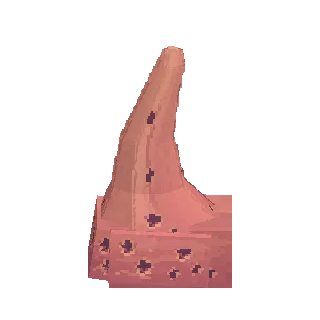 Coral block preview