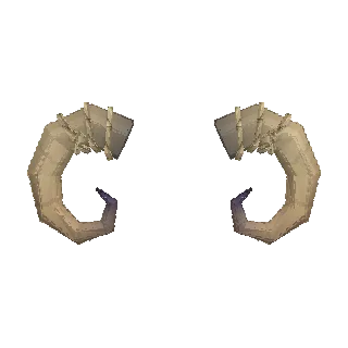Curled ram horns preview