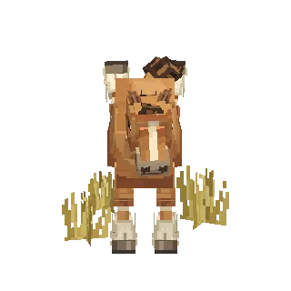 Draft horse preview
