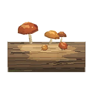 Fallen log with mushrooms preview