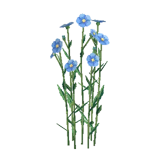 Flax crop preview