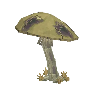 Giant mushroom tree turning around