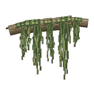 Hanging moss preview