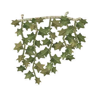 Ivy curtain preview