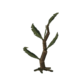Kelp stalk preview