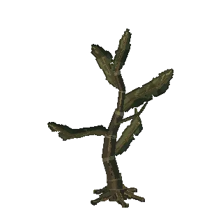 Kelp stalk preview