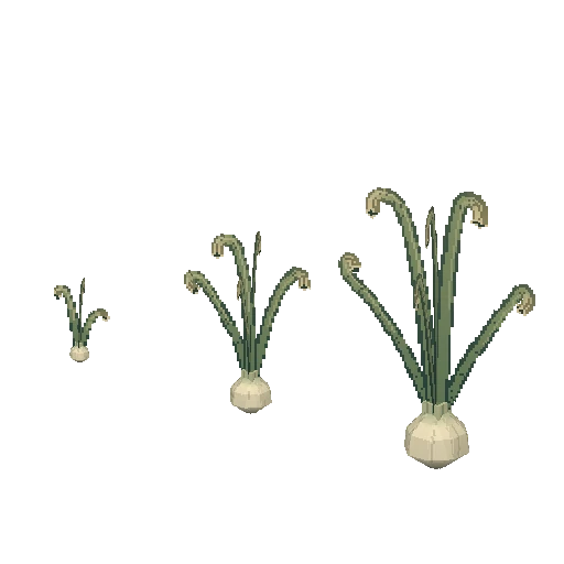 Onion crop, free Hytale model