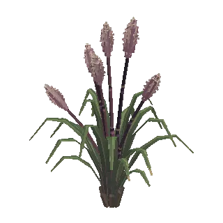 Ornamental grass clump preview
