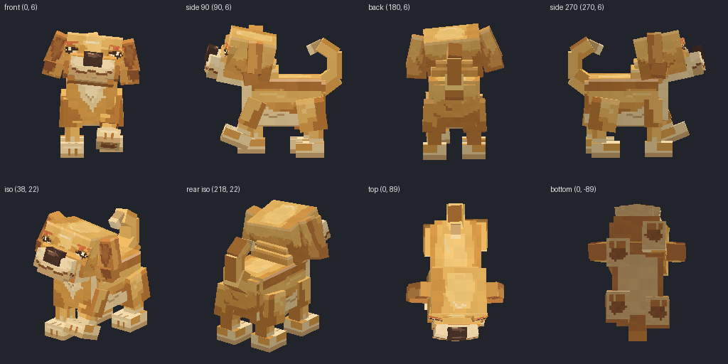 Puppy from eight angles