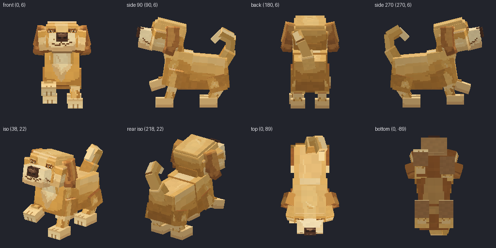 Puppy from eight angles