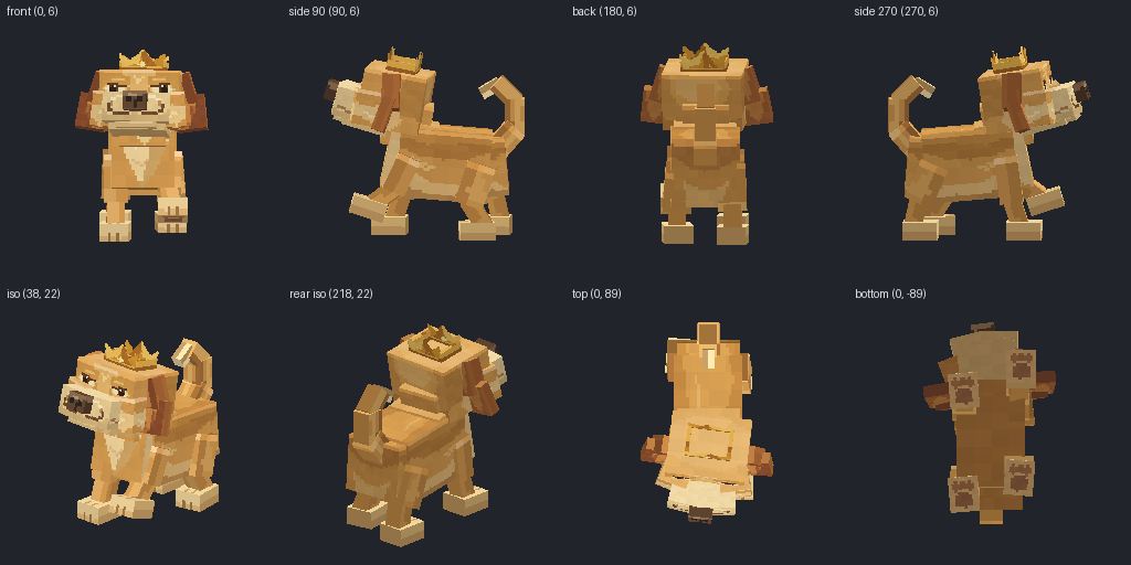 Puppy from eight angles