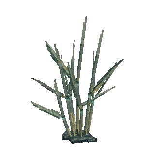 Reeds preview