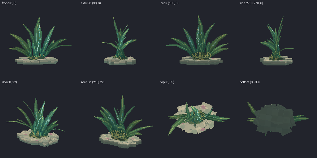 Sea grass from eight angles