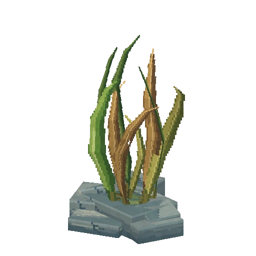 Seaweed, free Hytale model