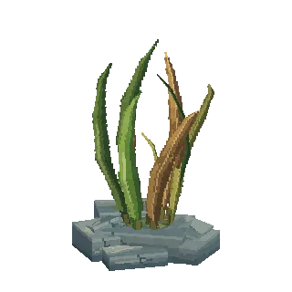 Seaweed preview