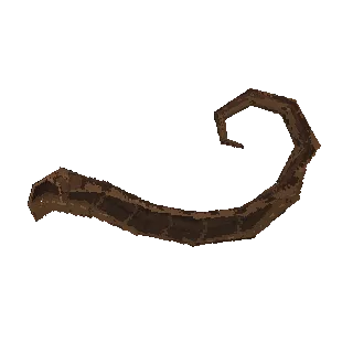 Shed snake skin turning around