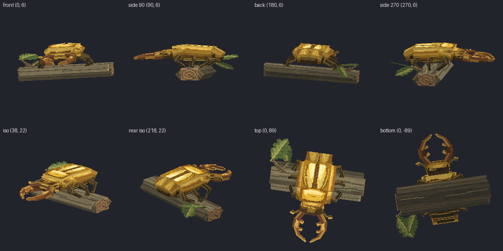 Stag beetle from eight angles