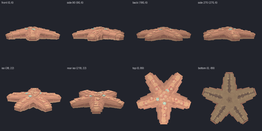 Starfish from eight angles