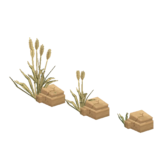 Tall grass, free Hytale model