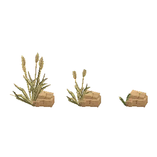 Tall grass preview