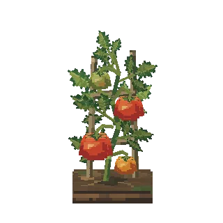 Tomato vine preview