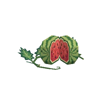 Watermelon vine preview